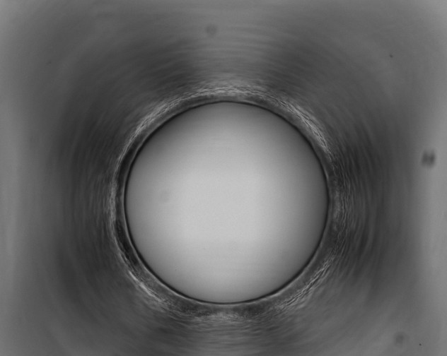 X0000100770578200806190935