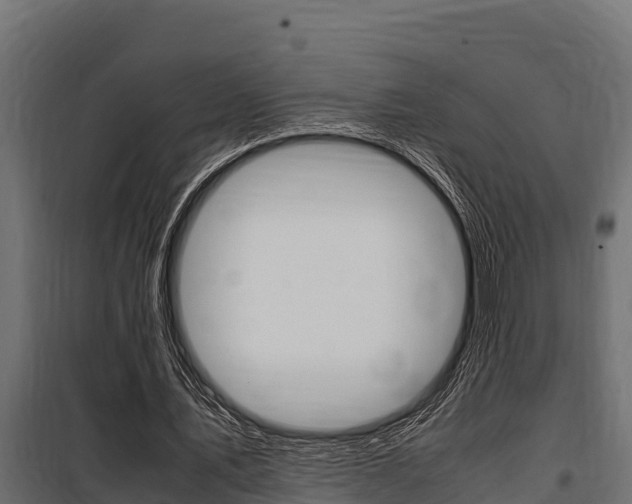X0000100770579200806190935