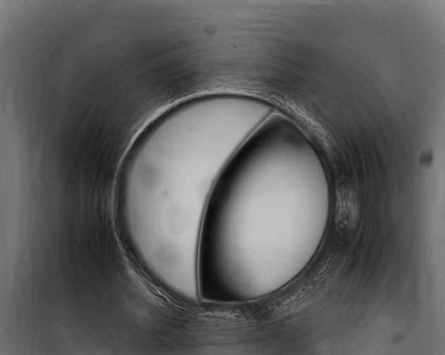 X0000100770580200806190935