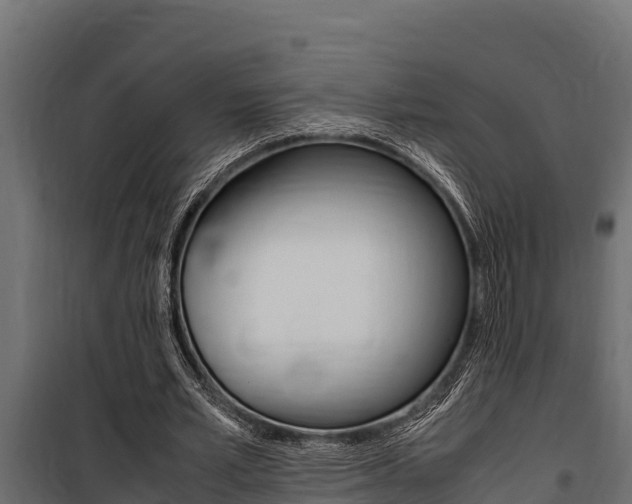 X0000100770581200806190935