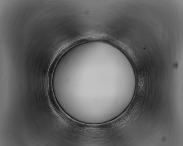 X0000100770582200806190935