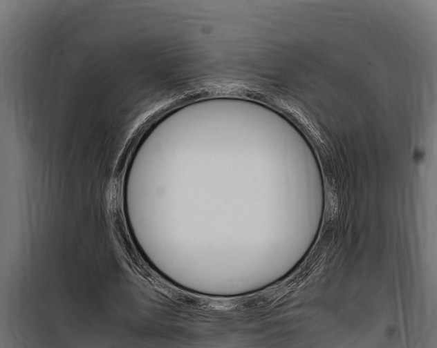 X0000100770583200806190935