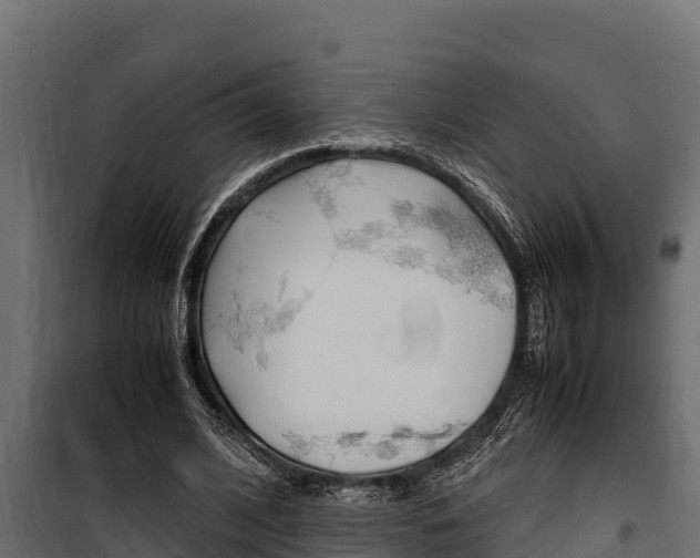 X0000100770584200806190935