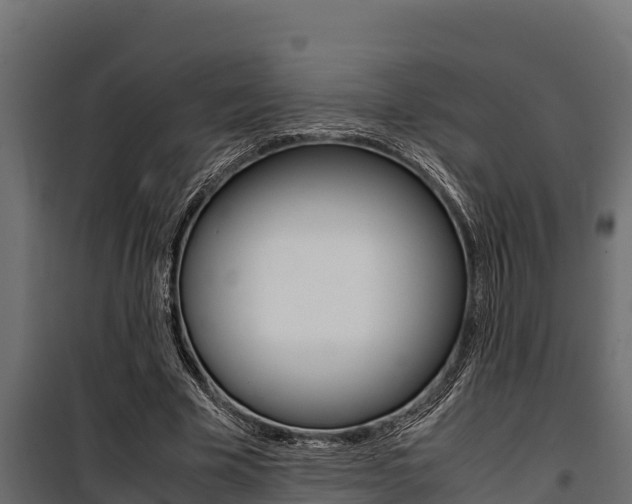 X0000100770585200806190935