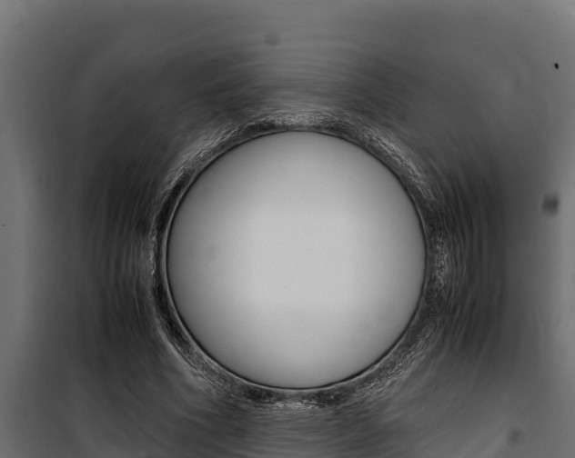 X0000100770586200806190935
