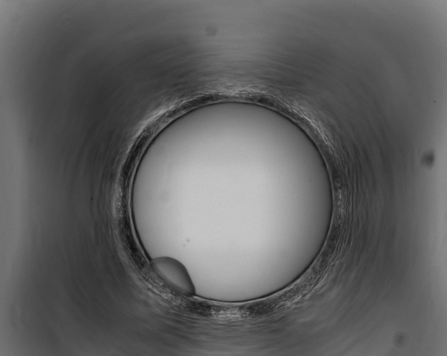 X0000100770587200806190935