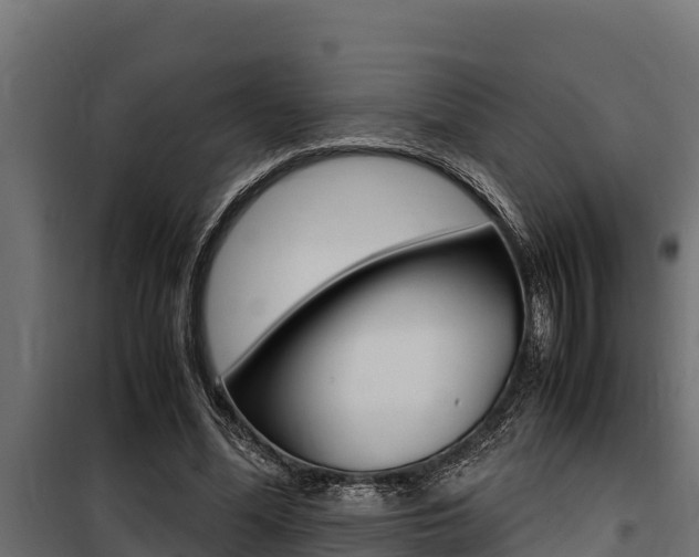 X0000100770588200806190935