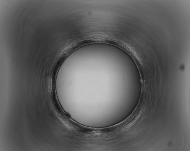 X0000100770589200806190935