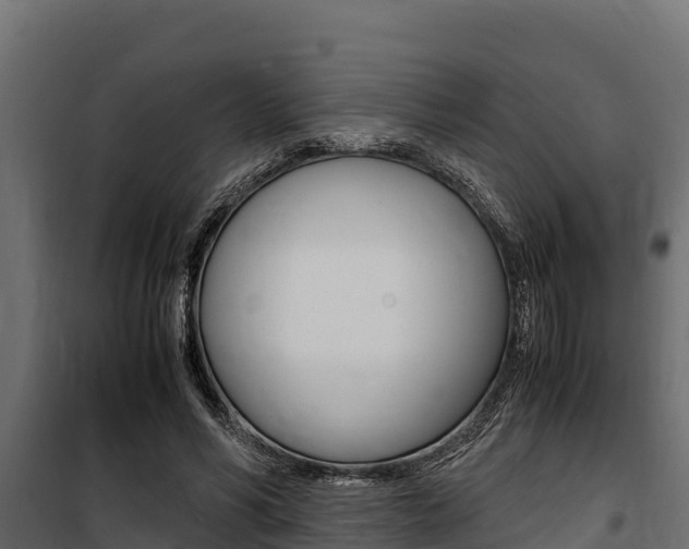 X0000100770590200806190935
