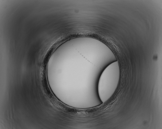 X0000100770591200806190935