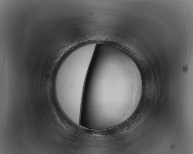 X0000100770592200806190935