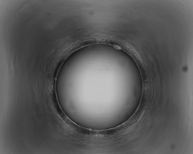 X0000100770593200806190935