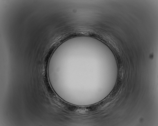 X0000100770595200806190935
