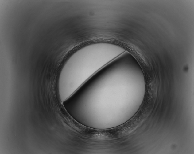 X0000100770596200806190935