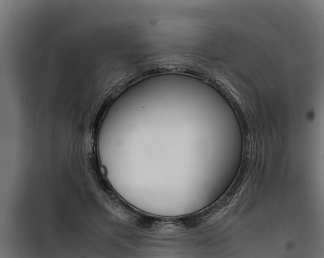 X0000100770597200806190935