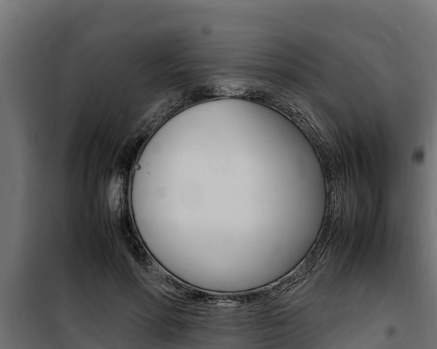 X0000100770598200806190934