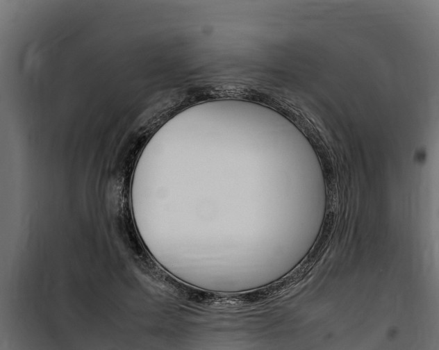 X0000100770599200806190934