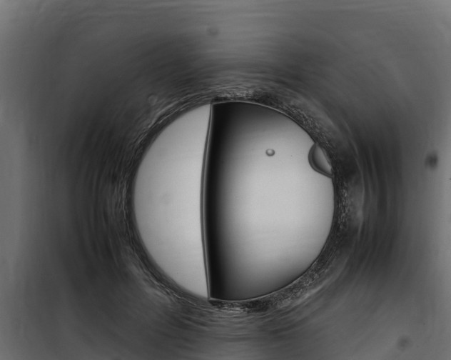 X0000100770600200806190934