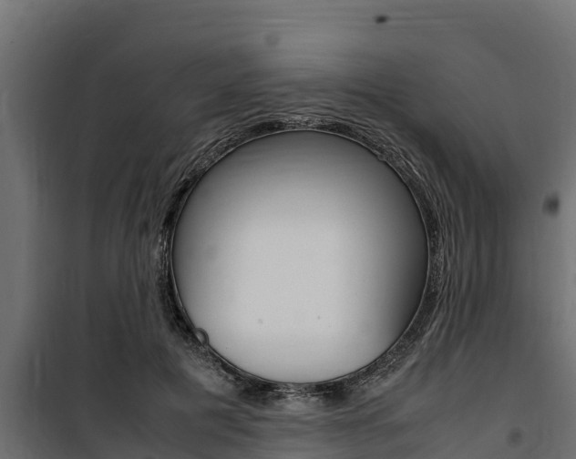 X0000100770601200806190934