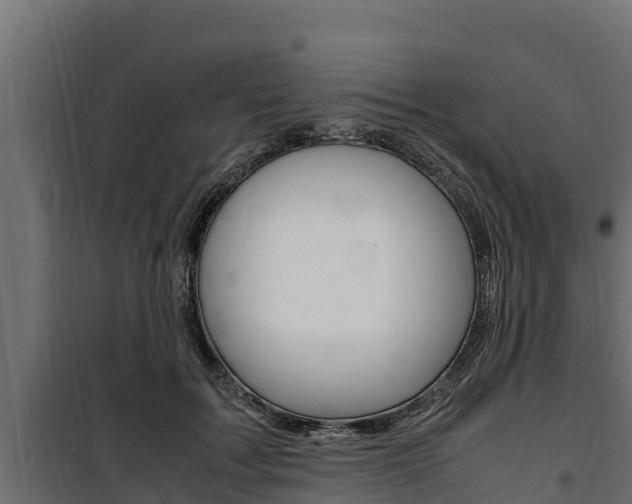 X0000100770603200806190934