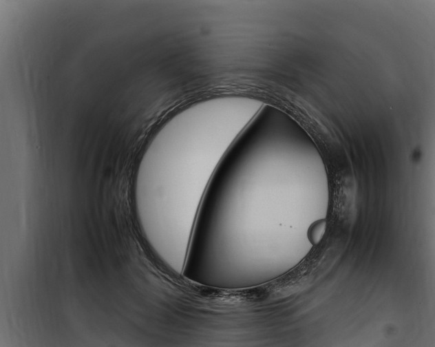 X0000100770604200806190934