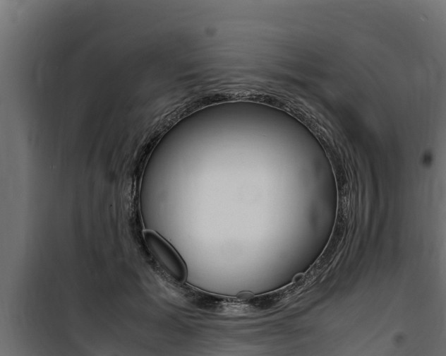 X0000100770605200806190934