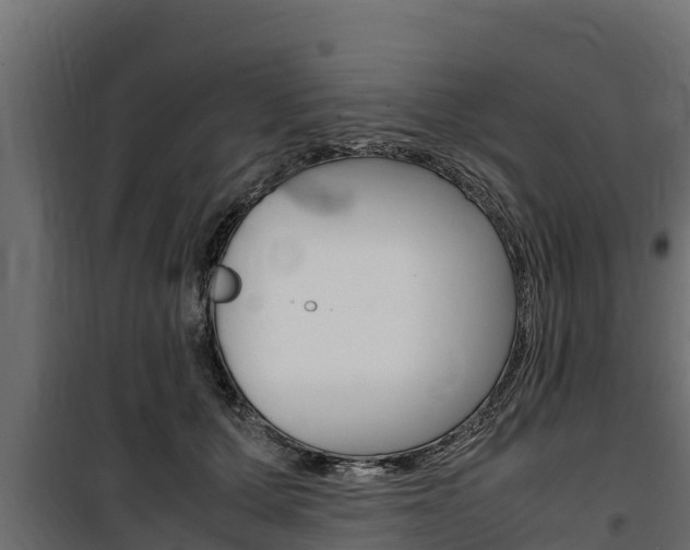 X0000100770607200806190934