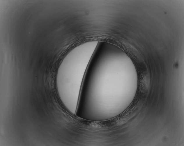 X0000100770608200806190934