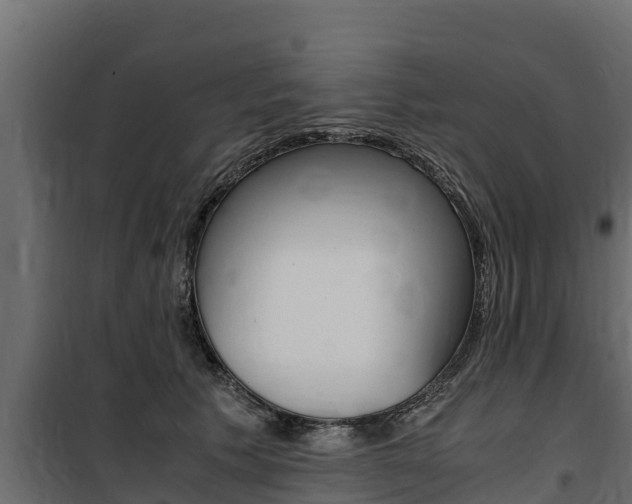 X0000100770609200806190934