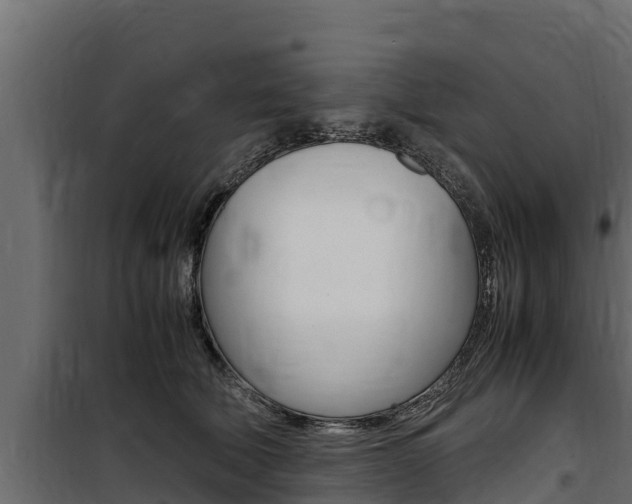 X0000100770610200806190934