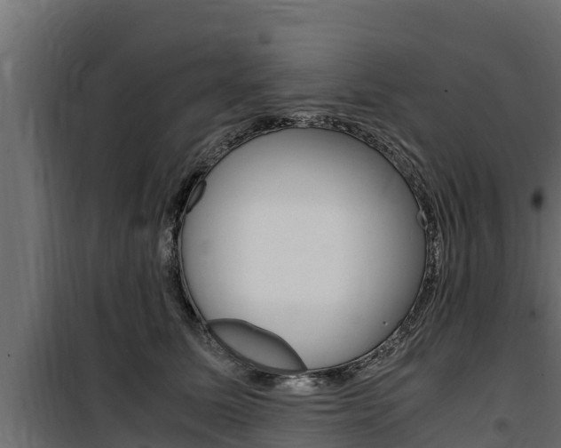 X0000100770611200806190934