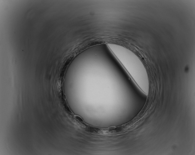 X0000100770613200806190934