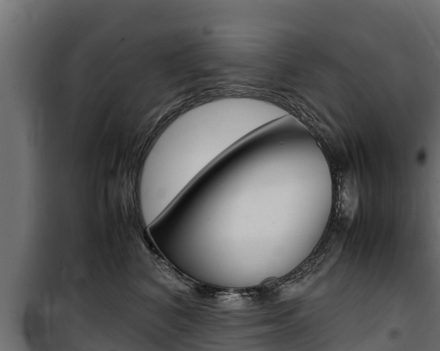 X0000100770616200806190934