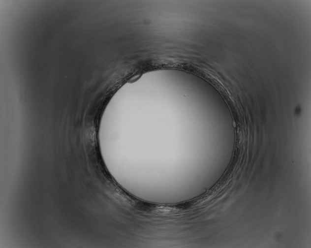 X0000100770617200806190934