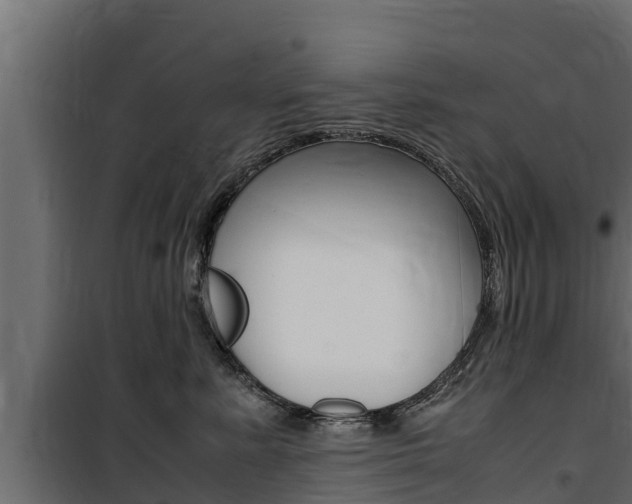 X0000100770619200806190934