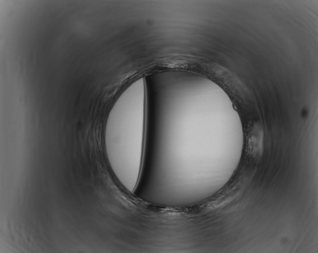 X0000100770620200806190934