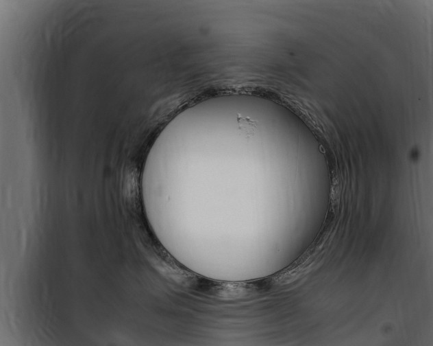 X0000100770623200806190934