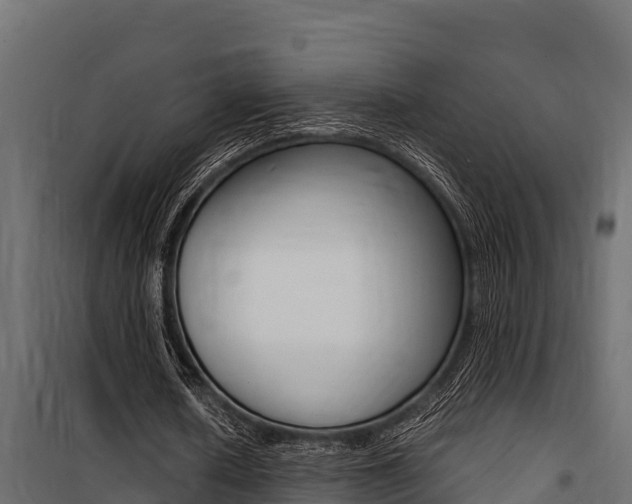 X0000100770626200806190933
