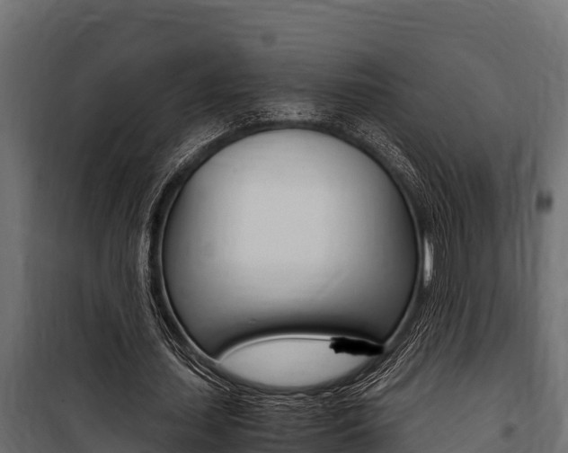X0000100770627200806190933