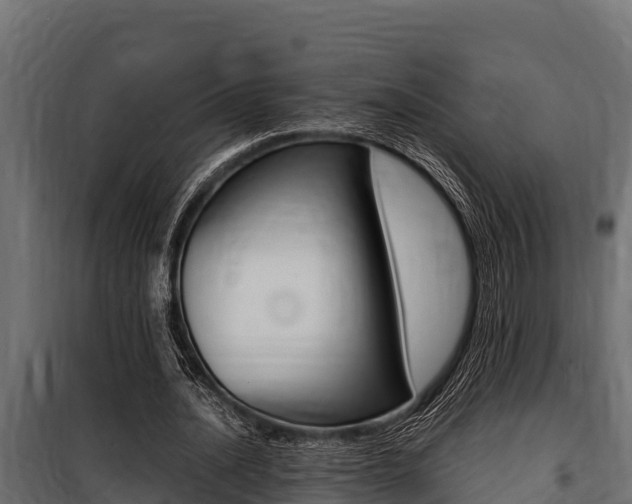 X0000100770628200806190933
