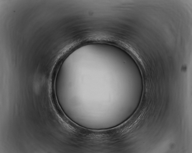 X0000100770629200806190933