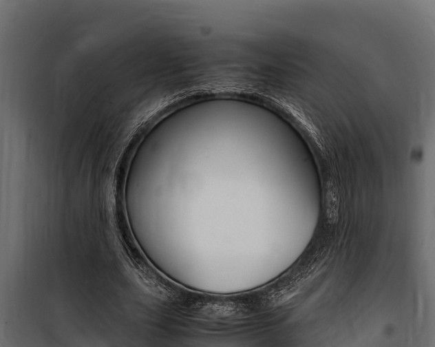 X0000100770631200806190933