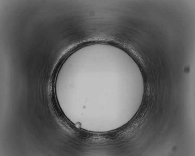 X0000100770632200806190933