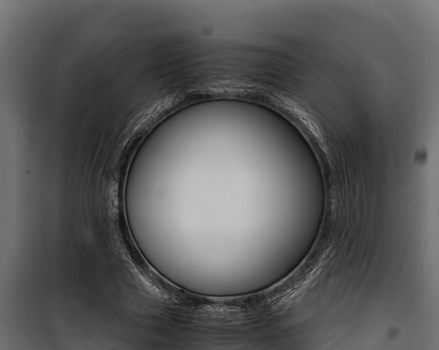X0000100770633200806190933