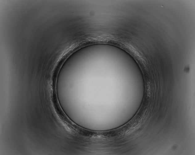 X0000100770634200806190933