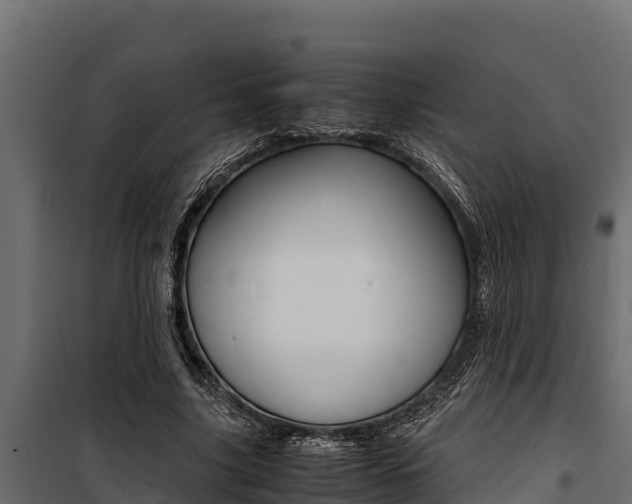X0000100770635200806190933