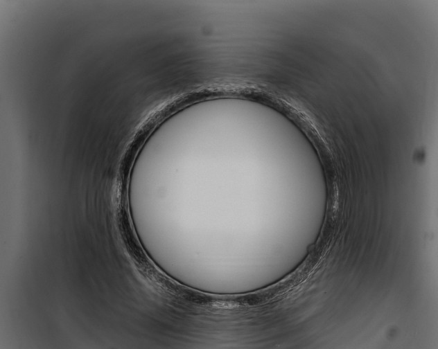 X0000100770636200806190933