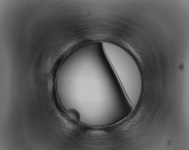 X0000100770637200806190933