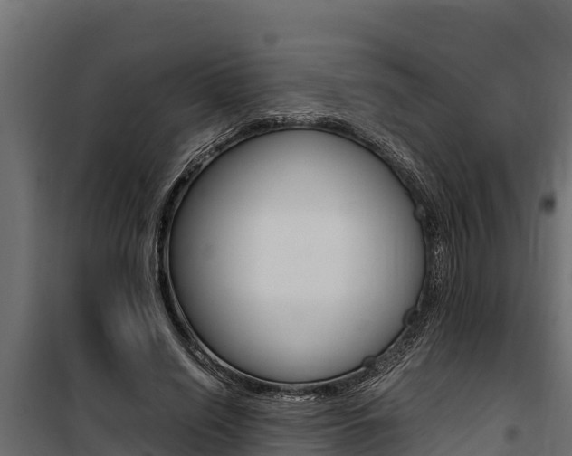 X0000100770638200806190933