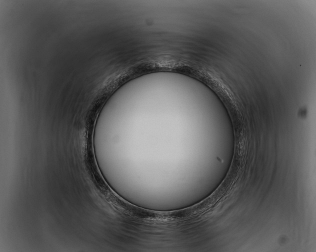 X0000100770639200806190933